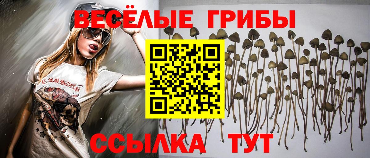 Каннабис  Гашиш  Подольск  COCAIN  ЭКСТАЗИ  Меф   Вход с VPN 