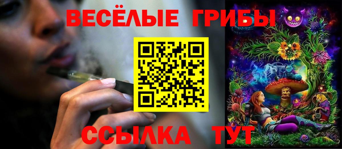 Псилоцибиновые грибы мицелий Подольск
